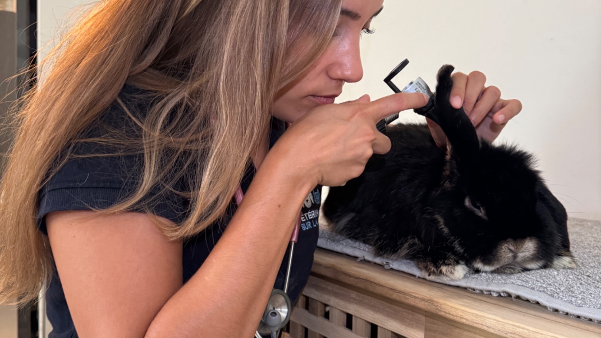 NAC Animaux | Vétérinaire à Domicile